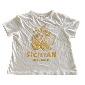 American eagle outfitters AE Ex-Boyfriend Destination Cropped Graphic T-Shirt XS